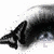 :iconxspxshayzerxspx: