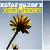 :iconxstargazerx:
