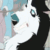 :iconxstarrylanterns: