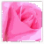 :iconxstephmariex: