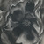 :iconxstormx2: