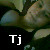 :iconxstrawberryxlipsx:
