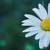 :iconxsubmissivex: