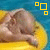 :iconxsuicidaldreamsx:
