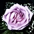 :iconxsummaflarex: