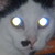:iconxsupah-kittahx: