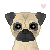 :iconxsuzanne: