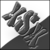 :iconxsxdesigns: