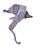 :iconxt0ffer: