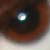 :iconxtamaraxkayx: