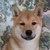 :iconxtanukix: