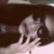 :iconxtaz-718: