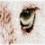 :iconxthestrangestealerx:
