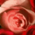 :iconxtonyax: