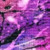 :iconxtrashx: