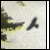 :iconxtreamegfx: