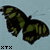 :iconxtwistx: