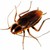 :iconxubmergence: