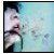 :iconxudiehua: