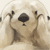 :iconxukai198407: