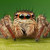 :iconxultaar42:
