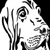 :iconxunholytrinityx: