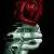 :iconxv2kx: