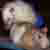 :iconxvampirexgoddessx: