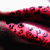 :iconxvanillaxpoisonx: