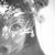 :iconxviolentxangelx: