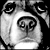 :iconxway: