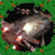 :iconxwingpilot: