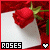 :iconxx--gitana: