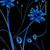 :iconxx-arguona-fox-xx: