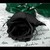 :iconxx-darksong-xx: