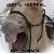 :iconxx-dreamer-xx: