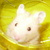 :iconxx-hammii-xx: