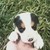 :iconxx-kitkatkitten-xx: