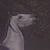 :iconxx-myrtille: