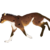 xX-Phantazm-Xx :iconxx-phantazm-xx: