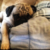 :iconxx-sheva-xx: