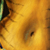:iconxx-tigress-xx: