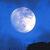 :iconxx-wolf-soul-xx: