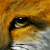 :iconxxabbysalfoxxx: