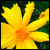 :iconxxadjustments:
