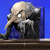 XxAngiexXRPI :iconxxangiexxrpi: