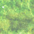 :iconxxarrtcomixxx:
