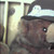 :iconxxashxx7894: