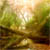 :iconxxazure-essence: