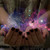 XxBefore-I-SleepxX :iconxxbefore-i-sleepxx: